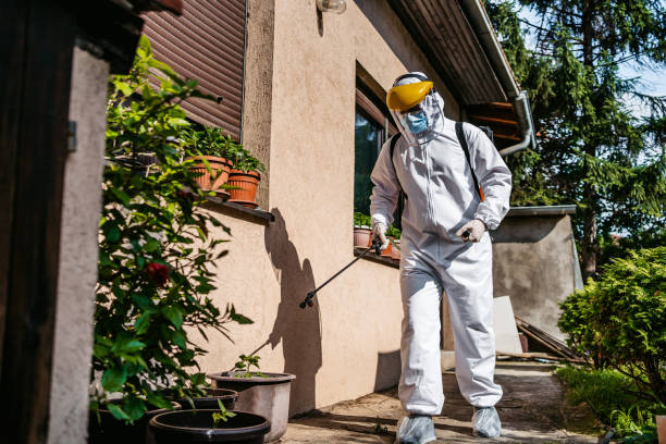 Best Wasp Removal Services  in Howard City, MI