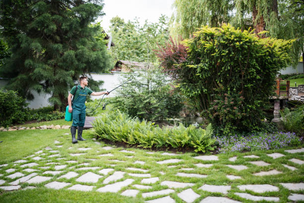Best Ant Control Services  in Howard City, MI