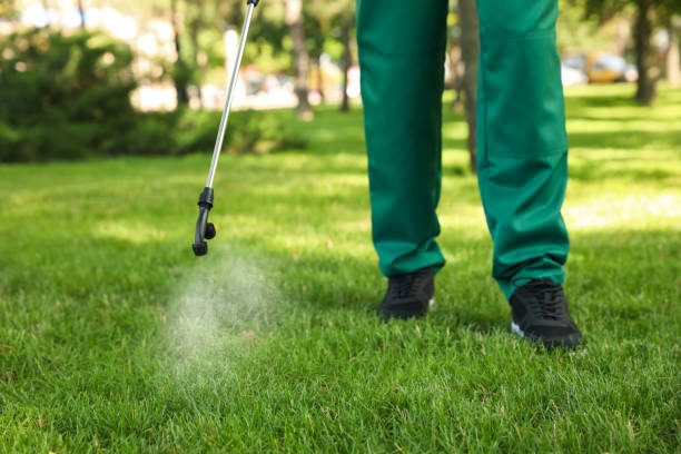 Best Spider Control Near Me  in Howard City, MI