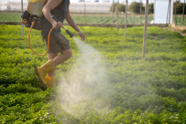 Best Affordable Pest Control Services  in Howard City, MI
