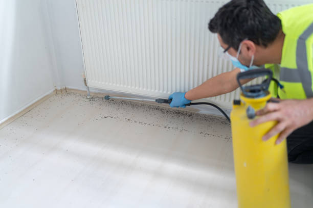 Best Cockroach Control Services  in Howard City, MI