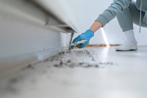Best Pest Inspection Near Me  in Howard City, MI